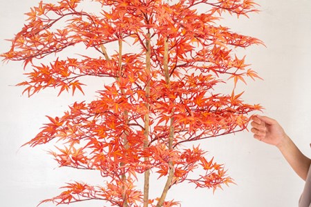 モミジ（赤）(造花）Go-511