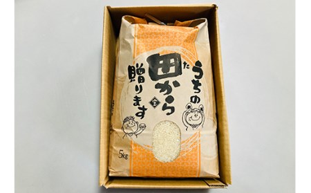 《先行予約》令和5年産米 至福のササニシキ（精米）5kg 米 お米 おこめ 山形県 新庄市 F3S-1601