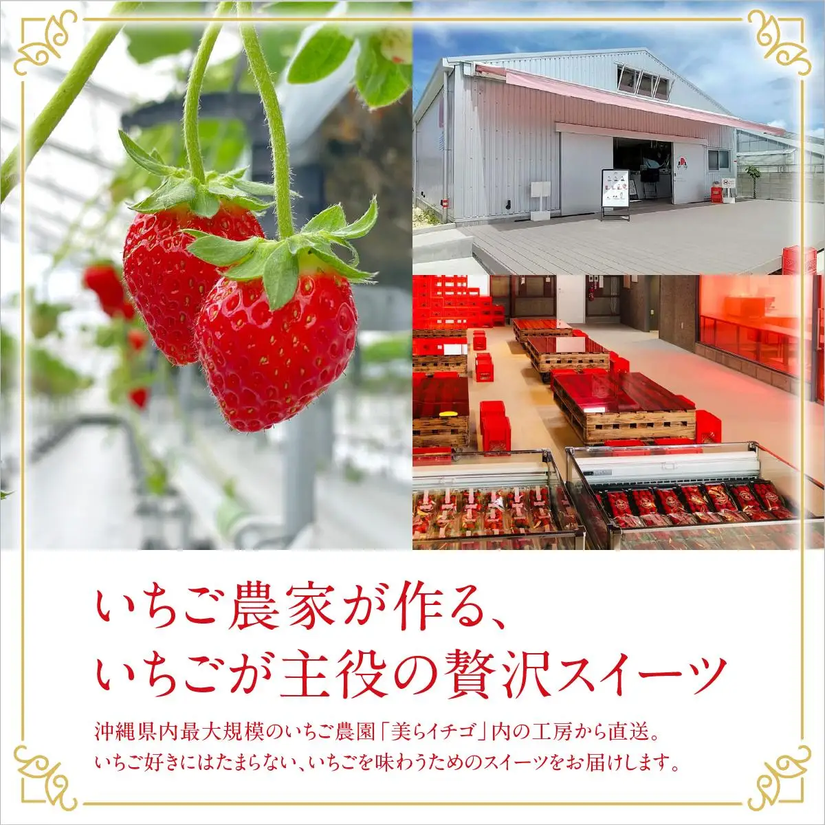 イチゴとなめらかプリン＆イチゴとレアチーズ セット   