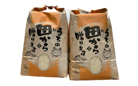 令和6年 魅惑のはえぬき10kg（5kg×2） 米 お米 おこめ 山形県 新庄市 F3S-2064