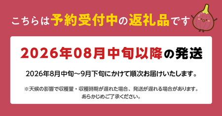 【先行予約】※贈答用※【フルトリエ】シャインマスカット・ぶどう・梨の詰合せ☆100年続くフルーツ農家_フルーツ 贈答用 セット 詰め合せ シャインマスカット 450g以上1房 マスカット ぶどう 450g以上1房 梨 2?4玉 ギフト 贈り物 果物 食べ物 食品 朝採れ 冷蔵 送料無料 100年続くフルーツ農家 フルトリエ 中村果樹園 〔Fx011〕