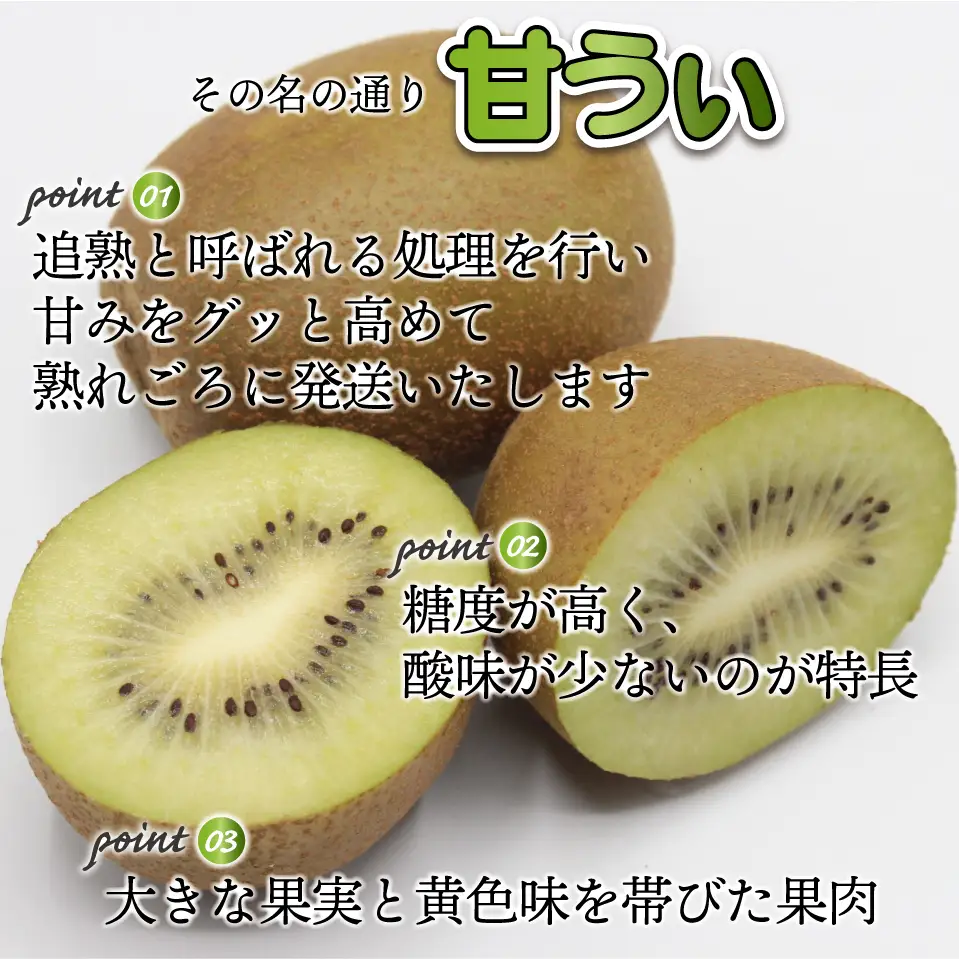 【福岡県産】キウイフルーツ「博多甘うぃ」化粧箱入り約1.4kg 2J9