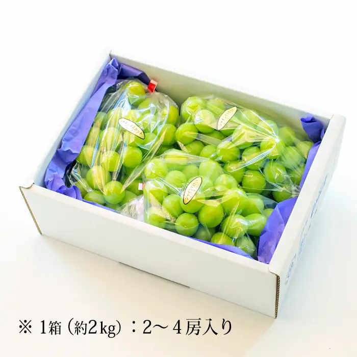 【数量限定・先行受付】久保ぶどう園の大粒シャインマスカット約2kg (3～4房) 果汁たっぷりの美味しい種なし葡萄 TF0394-P00005