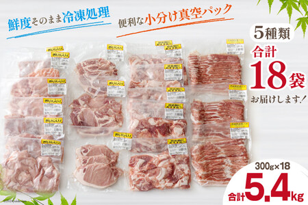豚肉 小分け 切り落とし ロース 豚バラ スライス お料理セット 計5.4kg