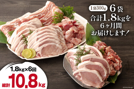 6回 定期便 豚肉 鶏肉 お料理 セット 計 10.8kg