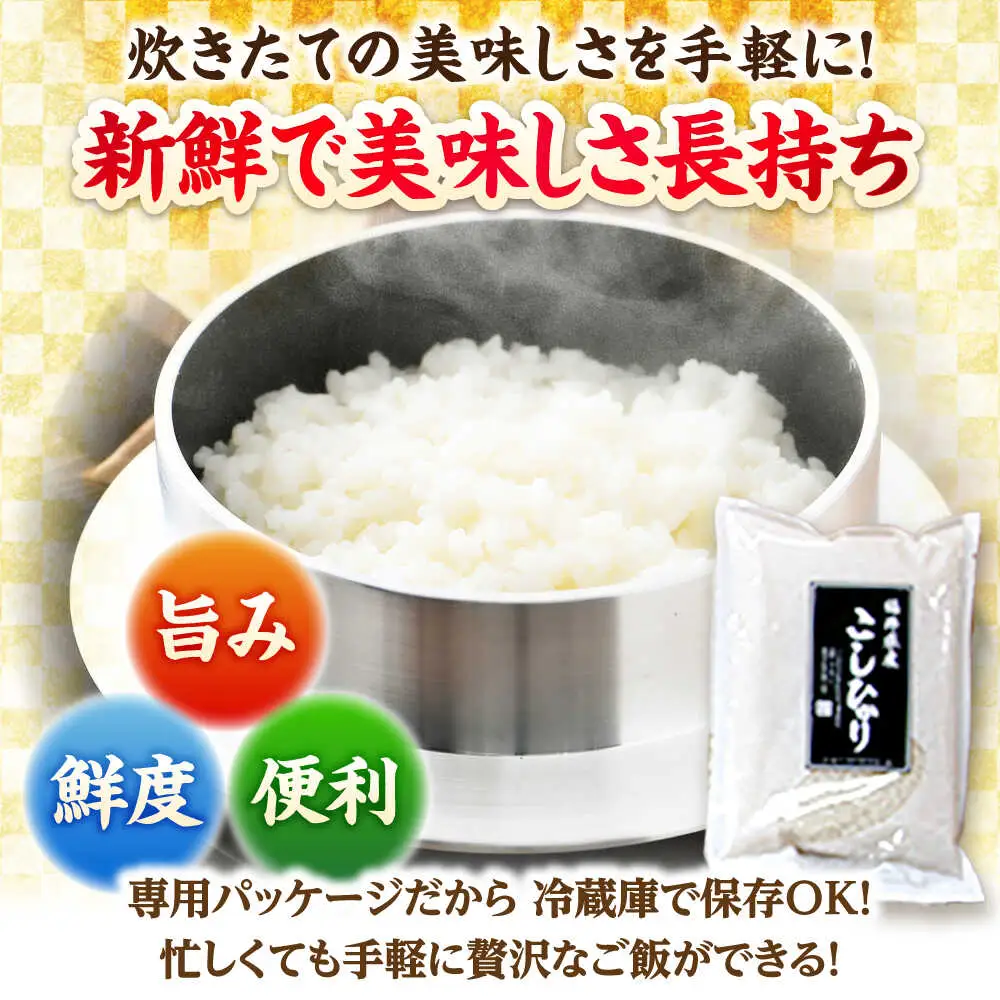 【令和7年産】福井県産こしひかり 300g(約2合) × 12パック / 米 精米 お米 小浜市 / シマダ農園 [BFAV002]