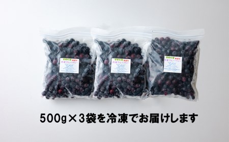 【数量限定】ブルーベリー 冷凍 500g×3袋 1.5kg