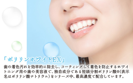 薬用ポリリンホワイトEX19ml×1本 専用スポンジ歯ブラシ60個付きセット