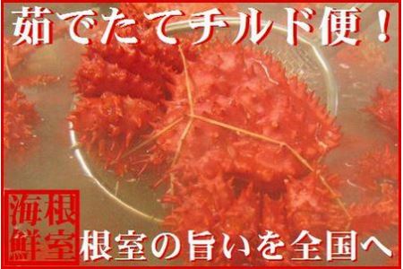 【北海道根室産】茹でたて花咲ガニ5～6尾(計1.6kg前後)(チルド便) A-57052