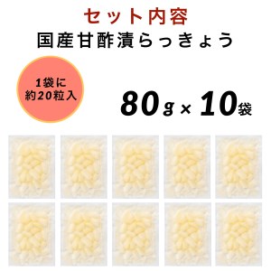 らっきょう 国産甘酢漬 10袋 らっきょう