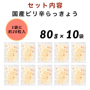 らっきょう10袋 国産ピリ辛 らっきょう