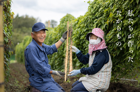 《先行受付》高原町の自然薯(1kg以上) 天然のむかごを種芋に使用！ [野菜 山芋 やまいも じねんじょ ワンストップオンライン対応] TF0503-P00042
