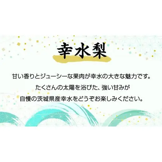 ≪先行予約≫ 茨城県産 梨 幸水 ( 約5kg )【2026年8月下旬頃より発送開始 】