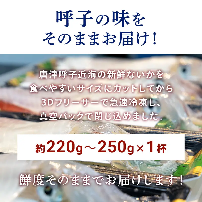 『先行予約』唐津呼子産いか活造り 1杯(約220g～250g) 急速冷凍 新鮮そのまま食卓へ！※水揚げあり次第7月以降順次発送させていただきます。