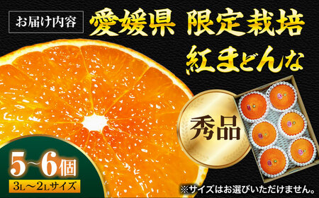 紅まどんな（5-6個）【11月下旬から順次発送】 紅まどんな みかん [AGBA003]