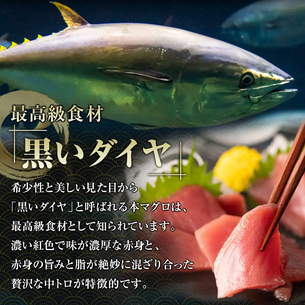 【ふるなびWEEK対象】鹿児島県奄美大島産高級食材『黒いダイヤ』黒マグロ　Aセット