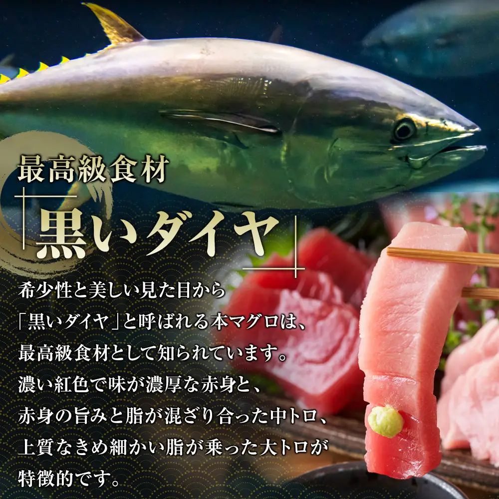 【ふるなびWEEK対象】鹿児島県奄美大島産高級食材『黒いダイヤ』黒マグロ　Bセット
