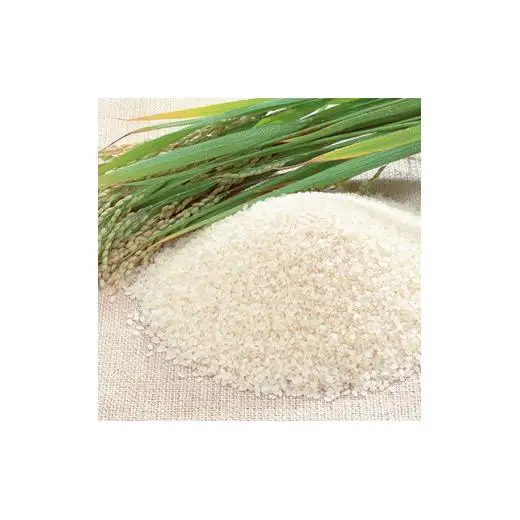令和7年産 にいみ源流米「コシヒカリ」10kg（5kg×2袋）