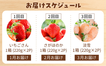 【先行予約 2027年1月〜発送】【3回定期便】いちご 3品種食べ比べ いちご