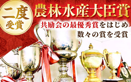 佐賀牛 赤身希少部位セットヒレサイコロ 約300g・モモステーキ 100g×2枚 HBH096 ステーキ 赤身 佐賀牛 