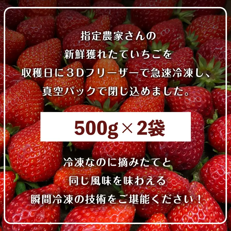 冷凍いちご(いちごさん) 500g×2袋(合計1kg)急速冷凍
