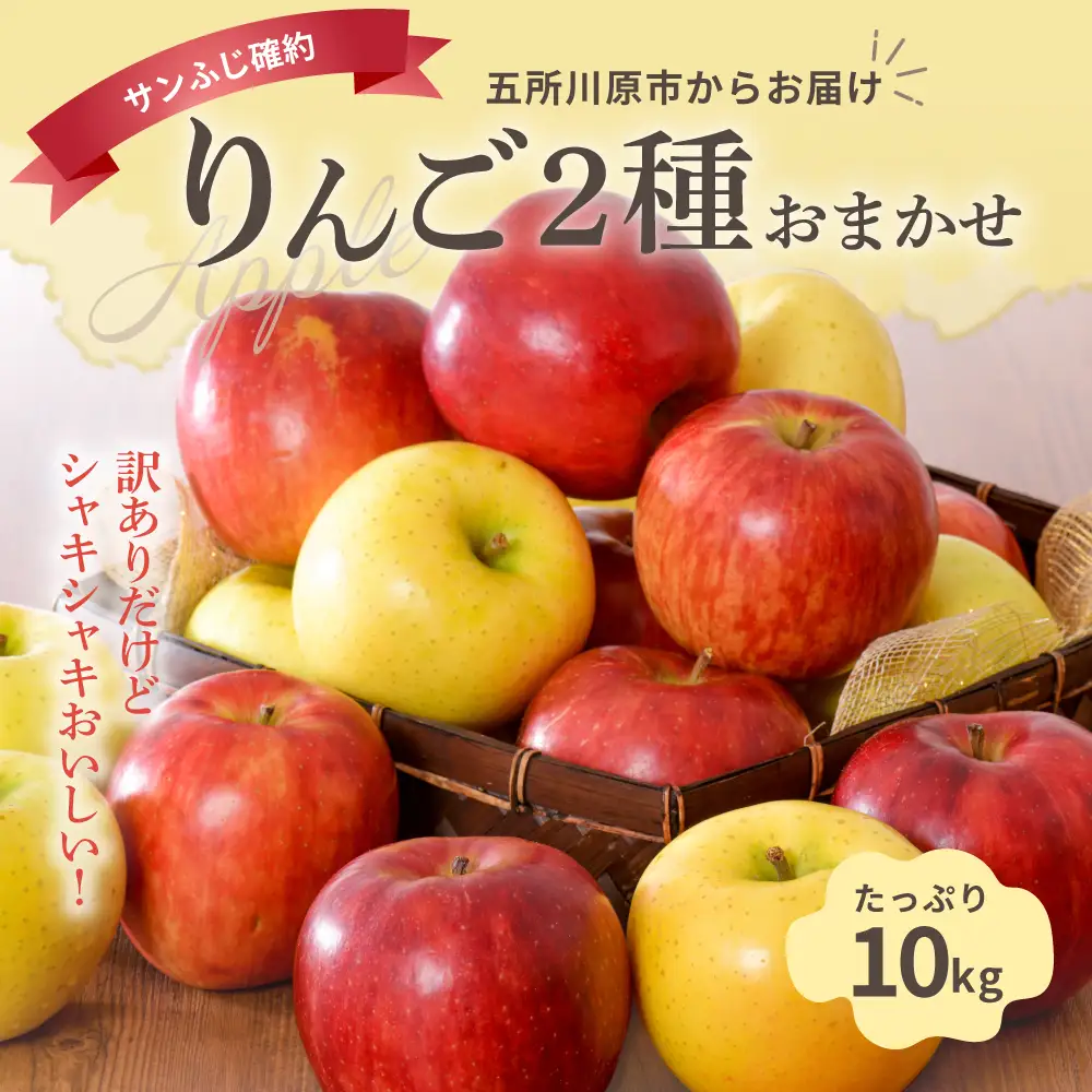 【2026年11月後半発送】 【訳あり】 りんご 約10kg サンふじ確約 青森産 品種おまかせ2種以上