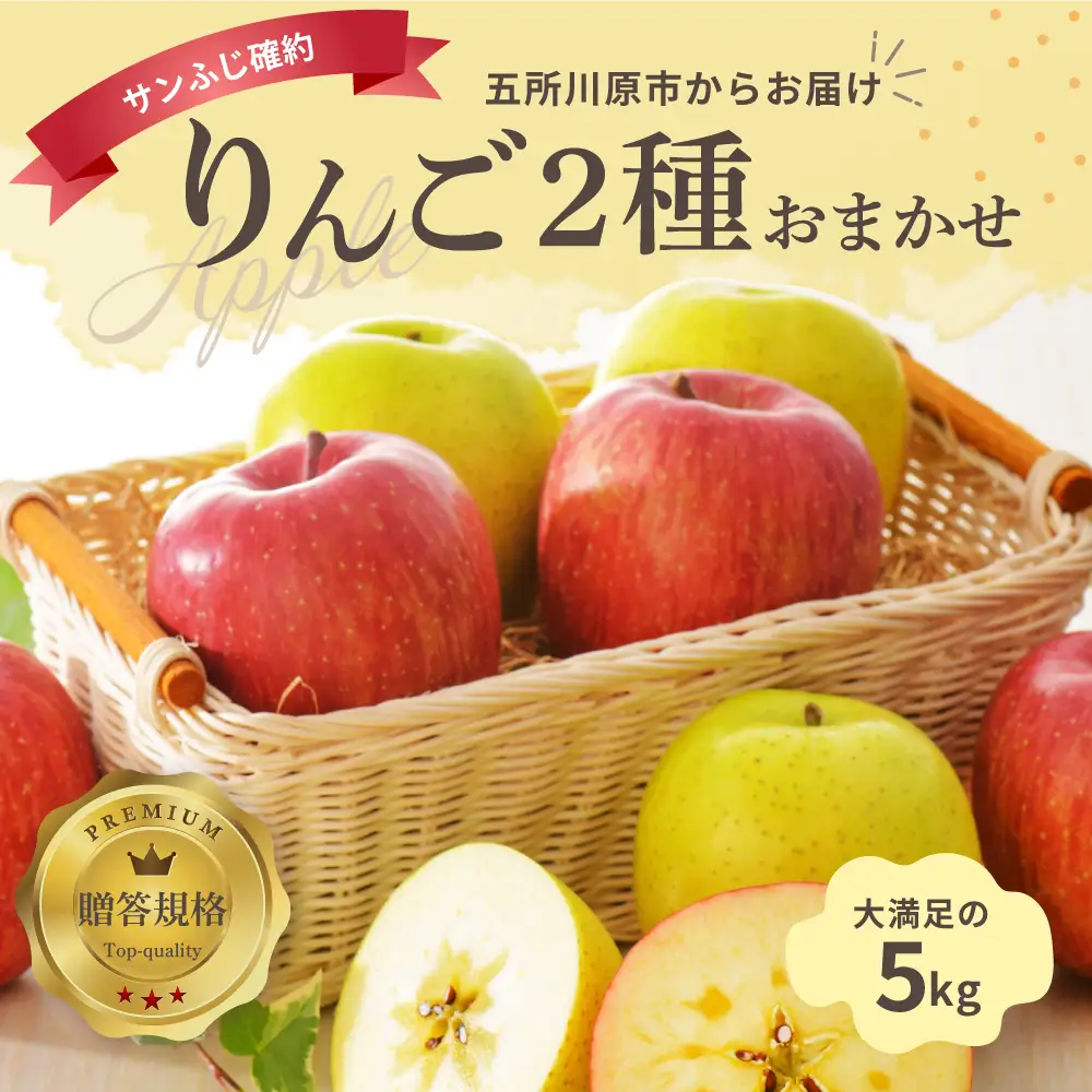 【2026年11月後半発送】 りんご 青森産 約5kg サンふじ 確約 品種おまかせ2種以上 贈答用 特選～特秀