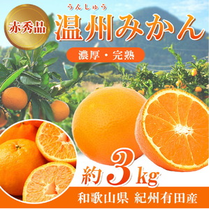 【2026年11月下旬より発送】紀州 有田産 濃厚甘熟 温州みかん 3kg 赤秀品【ミカン 蜜柑 柑橘 温州みかん 有田みかん 和歌山】_G7042