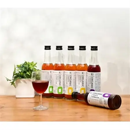 砂糖を使わず「アガベ」で発酵させた3種のオーガニック(有機)コンブチャ　(280ml×12本)【1312537】