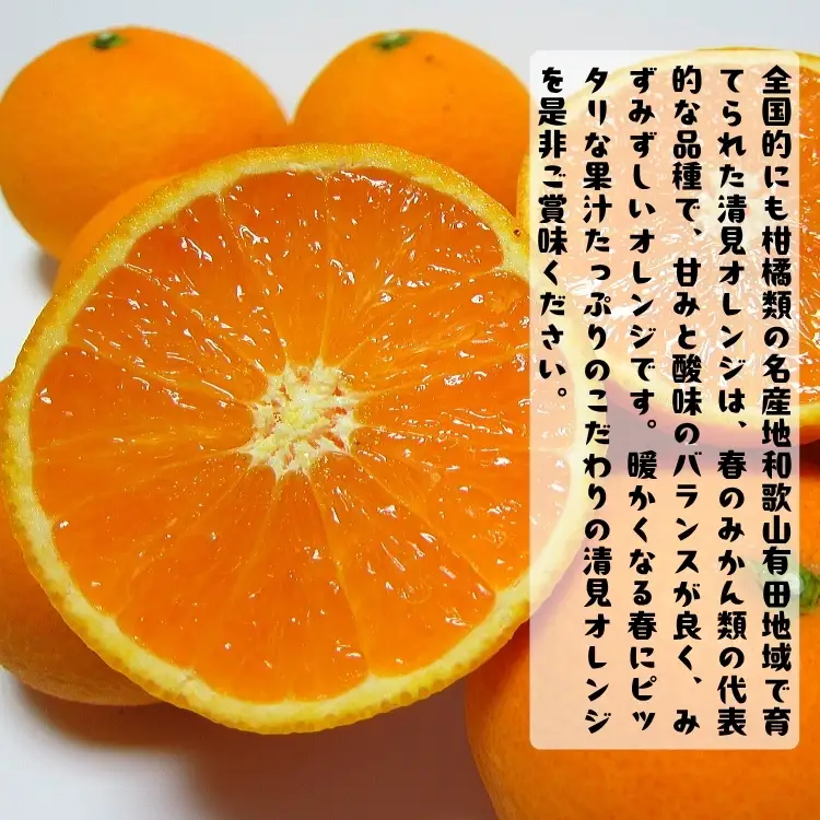 【ご家庭用】完熟 清見オレンジ 農家直送 約3.2kg(3kg+200g(補償分))