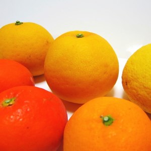 【先行予約】有田育ちの旬の 柑橘 詰め合わせ セット7.5kg+200g(補償分) ｜ フルーツ ふるーつ 果物 くだもの 詰め合わせ オレンジ みかん レモン 国産 産地直送 美浜町