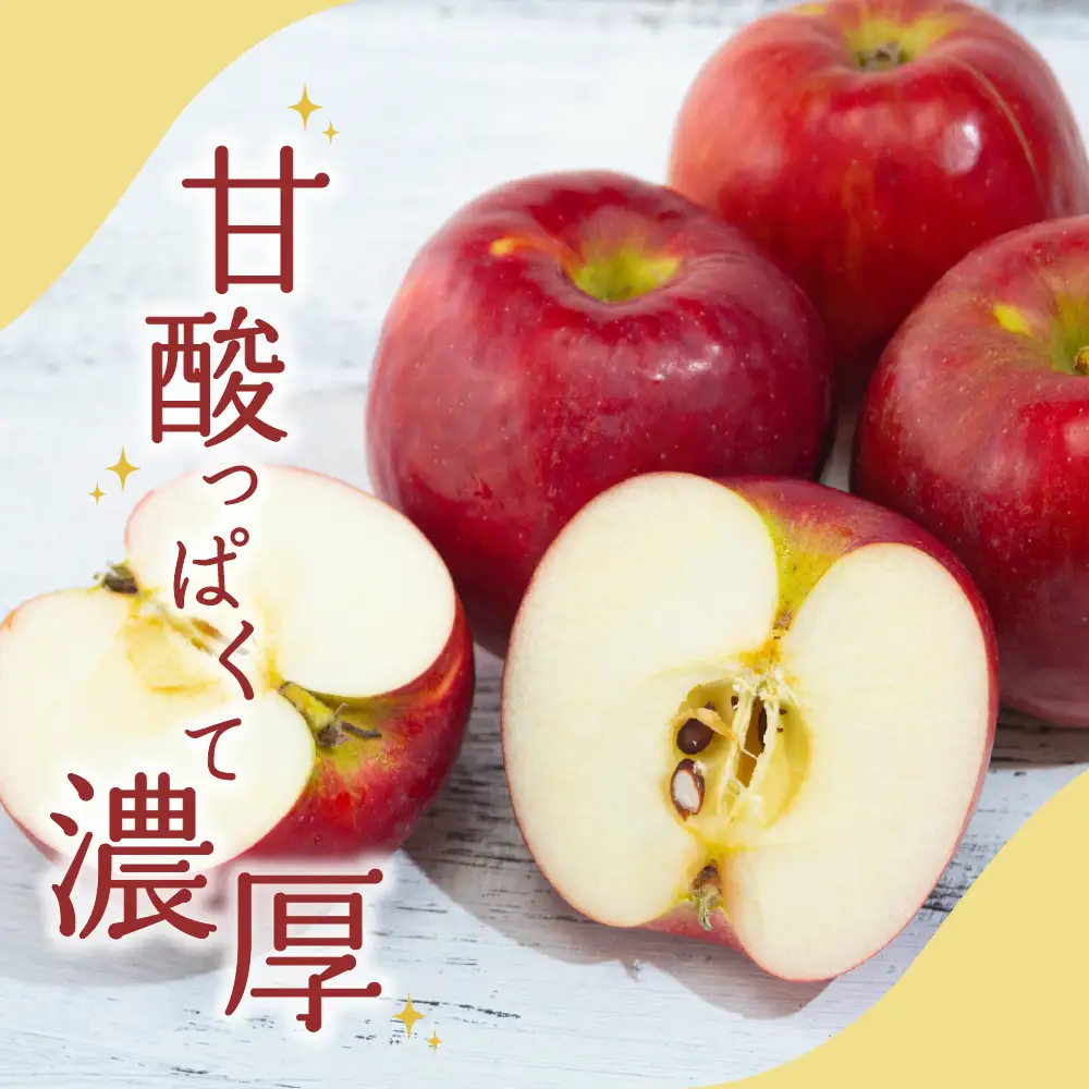 【2026年10月下旬発送】 【特選】りんご 5kg 紅玉 青森