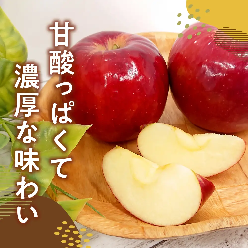 【2026年10月下旬発送】【訳あり】 りんご 10kg 紅玉 アップルパイ に最適 青森 不揃い