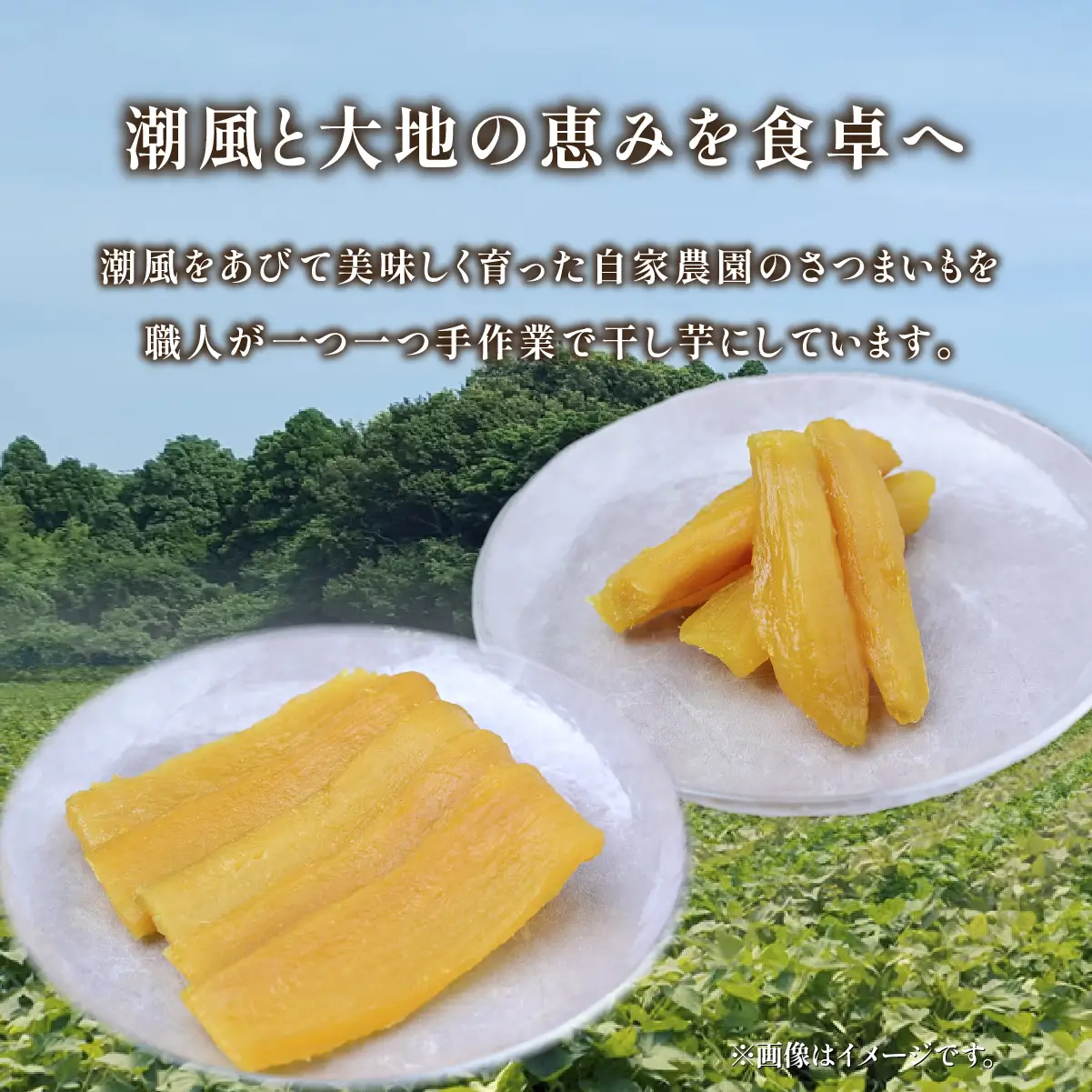 干し芋 1,2kg (平干し・丸干し 各300g×2袋) 先行受付 | 干しいも 二川農園  茨城県 ひたちなか市 
