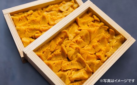 【無添加・ミョウバン不使用・7月末～9月初旬発送予定】淡路島の極上ウニ！天然赤ウニ（板入4枚）
