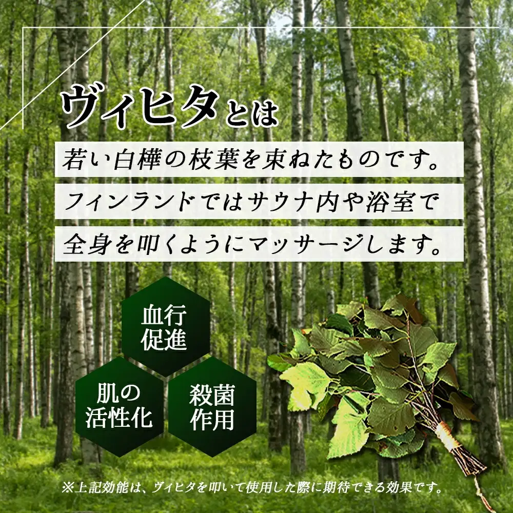 フレッシュ 白樺 ヴィヒタ 3束 北海道 白樺 ヴィヒタ アロマ ウィスク インテリア サウナグッズ サウナ テントサウナ 北海道 弟子屈町 30000円 2026年 7月以降順次発送 1511