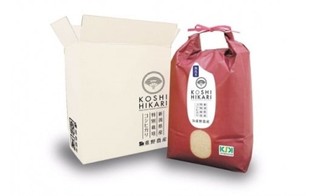新米先行予約【隔月定期便・11月～発送】コシヒカリ 無洗米 5kg（ペットボトル米 300g 1本付き）×隔月5回 （計 26.5kg）重ちゃんのお米 令和8年産米 [Y0079]