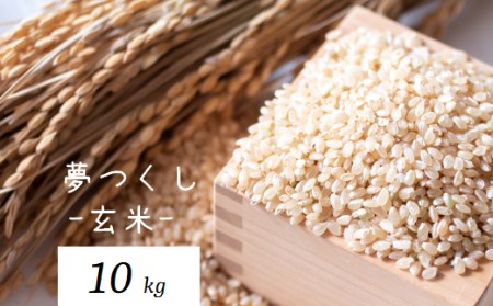 お米屋さんからお届けする「 夢つくし - 玄米 -」10kg [ABBW002]