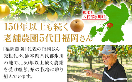 あきづき梨 5㎏ 福岡農園 梨 夏