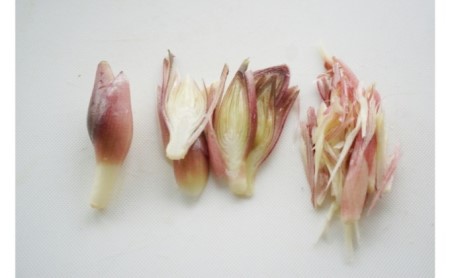 みょうが陣田早生露地栽培 群馬県産 みょうが【約1.8kg】