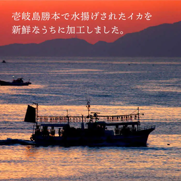 剣先イカ 刺身 （小） 3杯  [JEW002] イカ