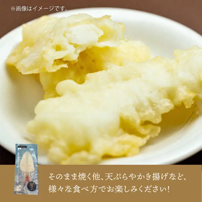 剣先イカ 一夜干 （中） 3杯 《壱岐市》【株式会社マルショウ】 いか 剣先いか セット おつまみ 一夜干し [JEW006] 17000 17000円 のし ギフト