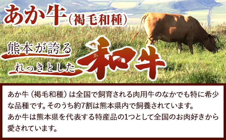 牛肉 あか牛 すき焼き用スライス 500g 牛肉スライス 株式会社有佐スーパー