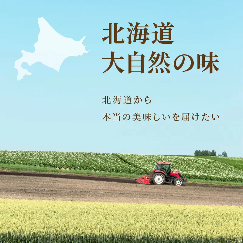 《14営業日以内に発送》全6種セット！大地の恵み北海道スープ＆ポタージュ ( スープ ポタージュ セット 6種類 ふるさと納税 簡単 玉ねぎ ホタテ じゃがいも こんぶ たまねぎ )【125-0130】