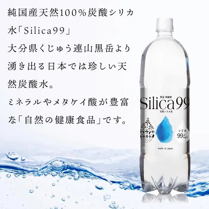 ＜２か月に１度のお届け！全３回 定期便＞天然炭酸水Silica99　500ml×24本