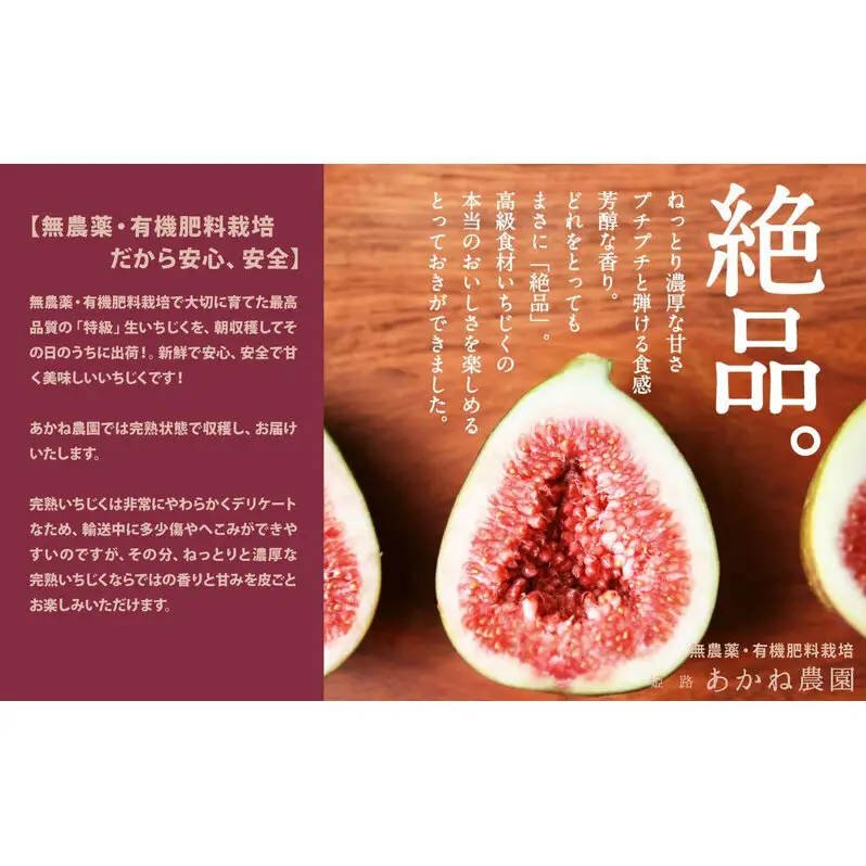 【栽培期間中 無農薬・有機肥料栽培】皮ごと食べれて甘い！あかね農園「 特級 生いちじく」9 個 桐箱入り