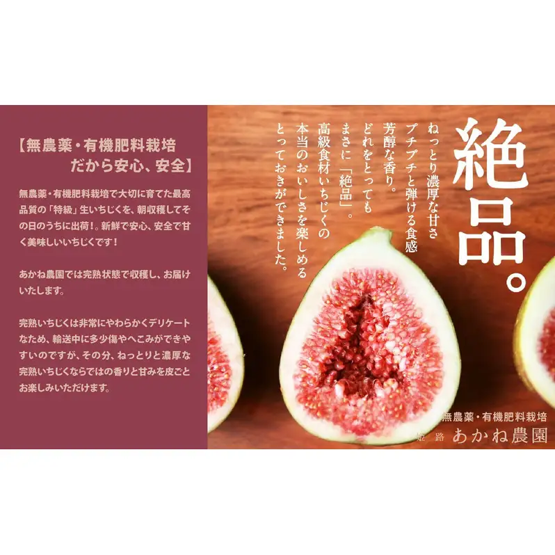 【栽培期間中 無農薬・有機肥料栽培】皮ごと食べれて甘い！あかね農園「 特級 生いちじく」約 600g