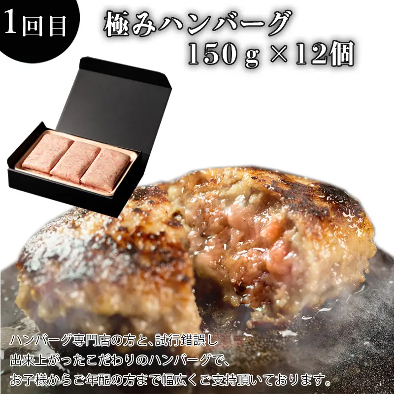「全3回定期便」極みハンバーグ・佐賀牛サイコロステーキ・佐賀牛焼肉用をご寄付の翌月から3回お届け！ ハンバー グ ステーキ