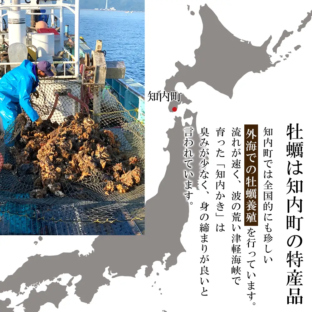 冷凍カキ約200g× 4袋セット 牡蠣 海鮮 魚介 かき 冷凍＜上磯郡漁業協同組合＞ 加熱用 牡蠣 北海道産カキ 冷凍 牡蠣 かき カキ 北海道産