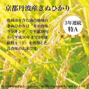 訳あり【12回定期便】京都丹波産 きぬひかり 10kg(5kg×2)×12ヶ月 計120kg
